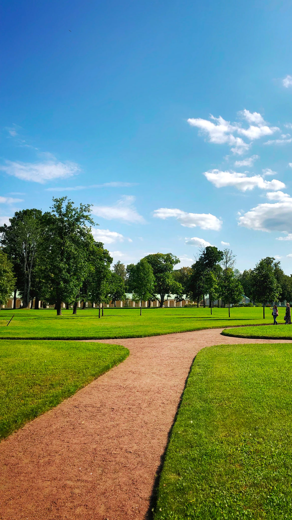 Park Walkways & Turf landscaper-gallery-07